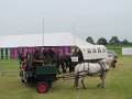 074 (2)